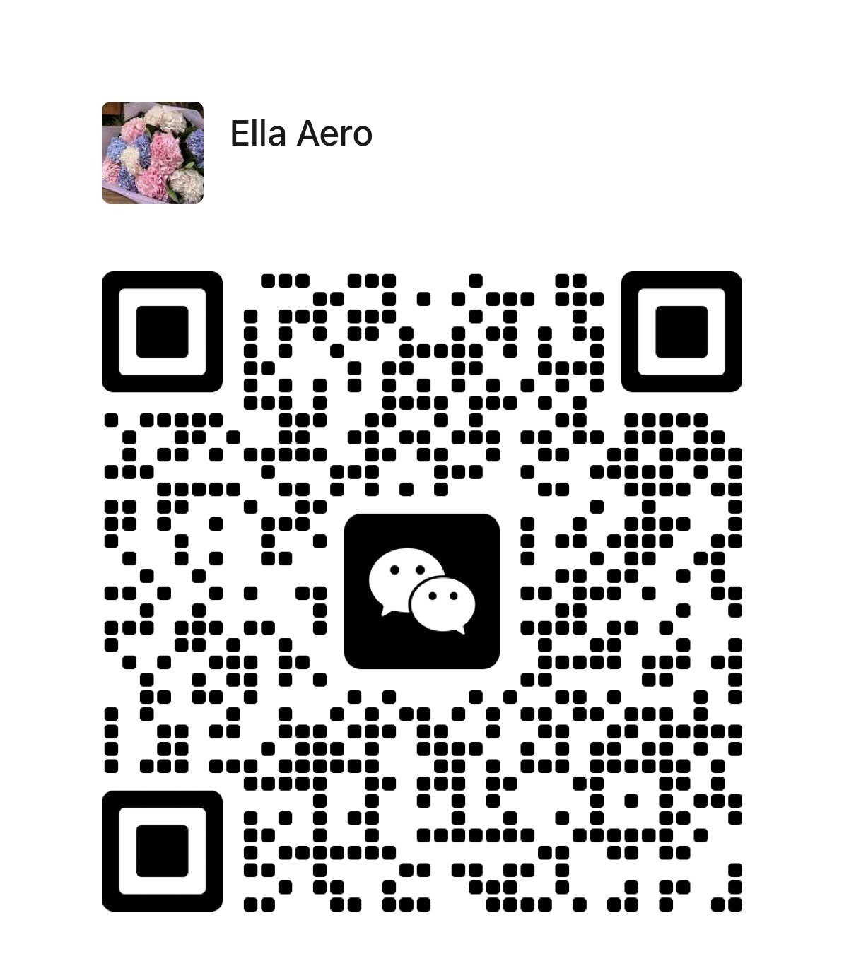 Ella Aero WeChat QR Code