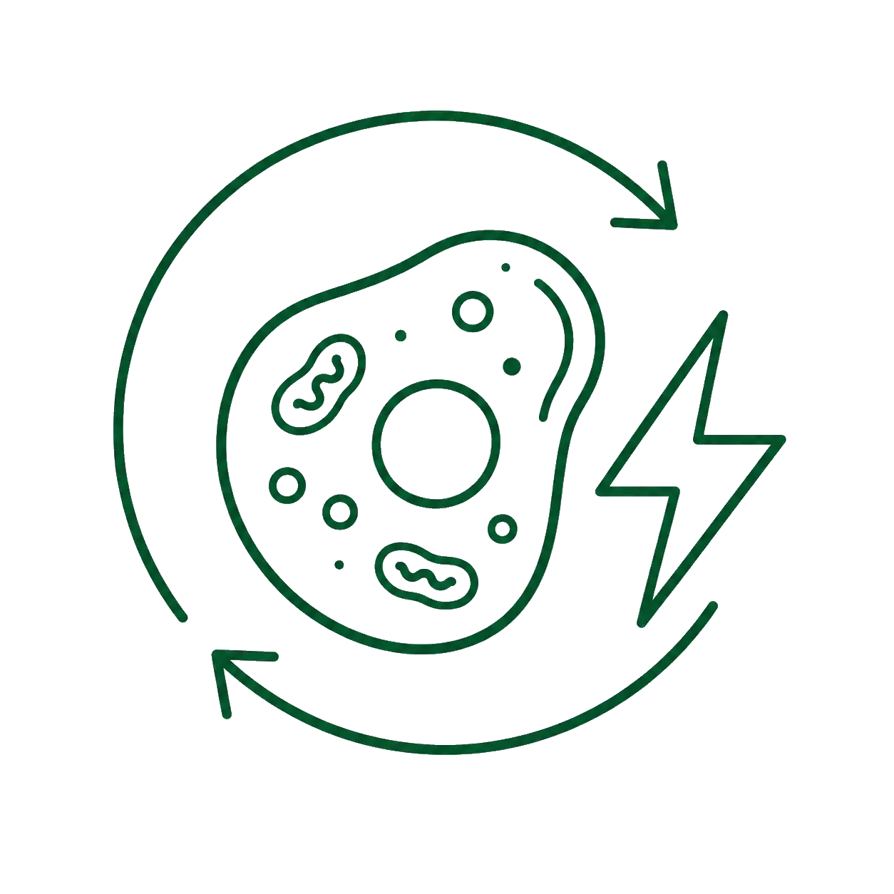 Icon medizinische Einordnung von Darm und Stoffwechsel