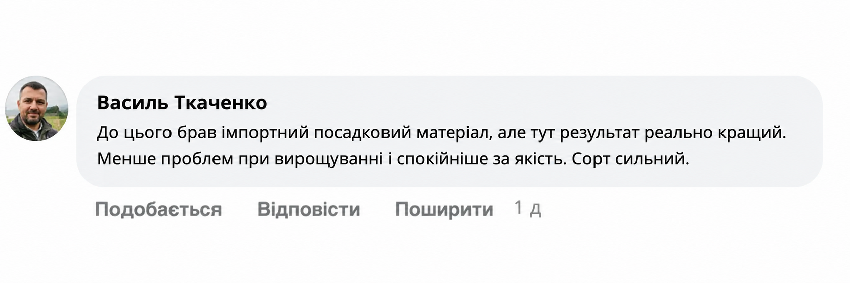 Відгук про Харківський фіолетовий часник