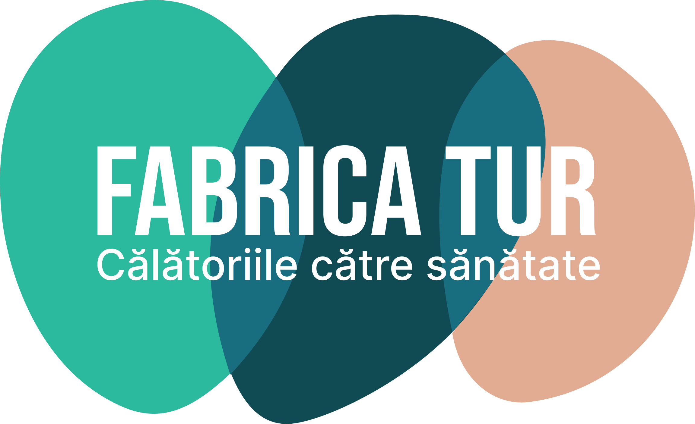 Fabrica Tur 