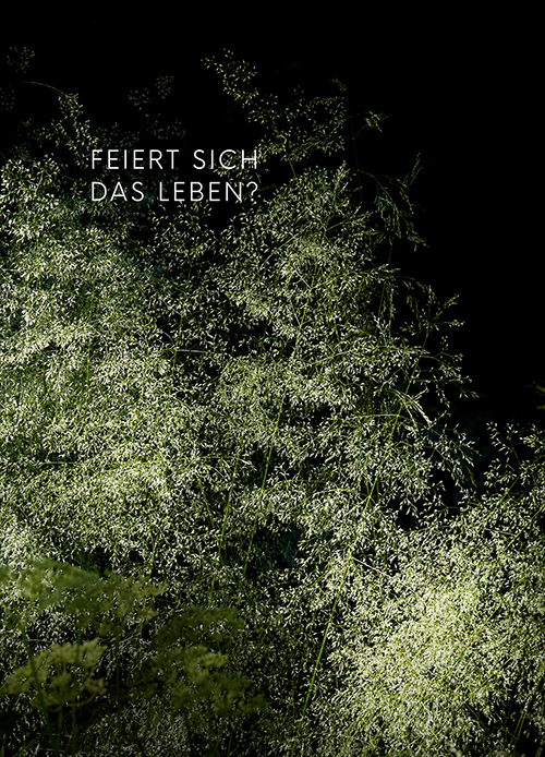 Q no A Postkarte mit Pflanze im Wald – Fotokunst mit Reflexionsfrage