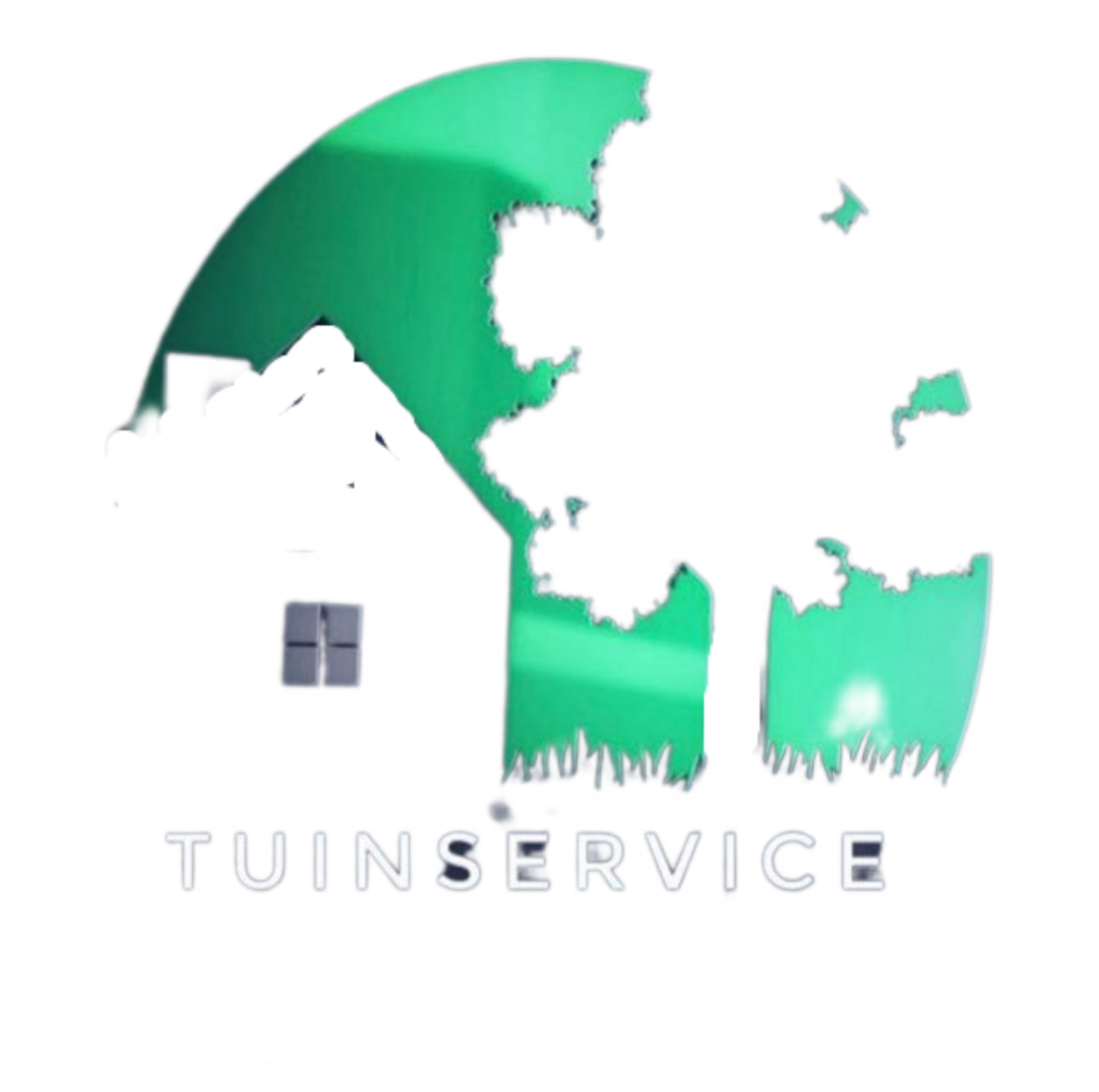 TUINSERVICE