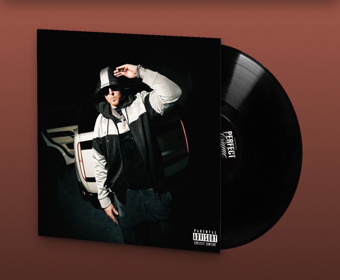 PERFECT CRIME Vinyl