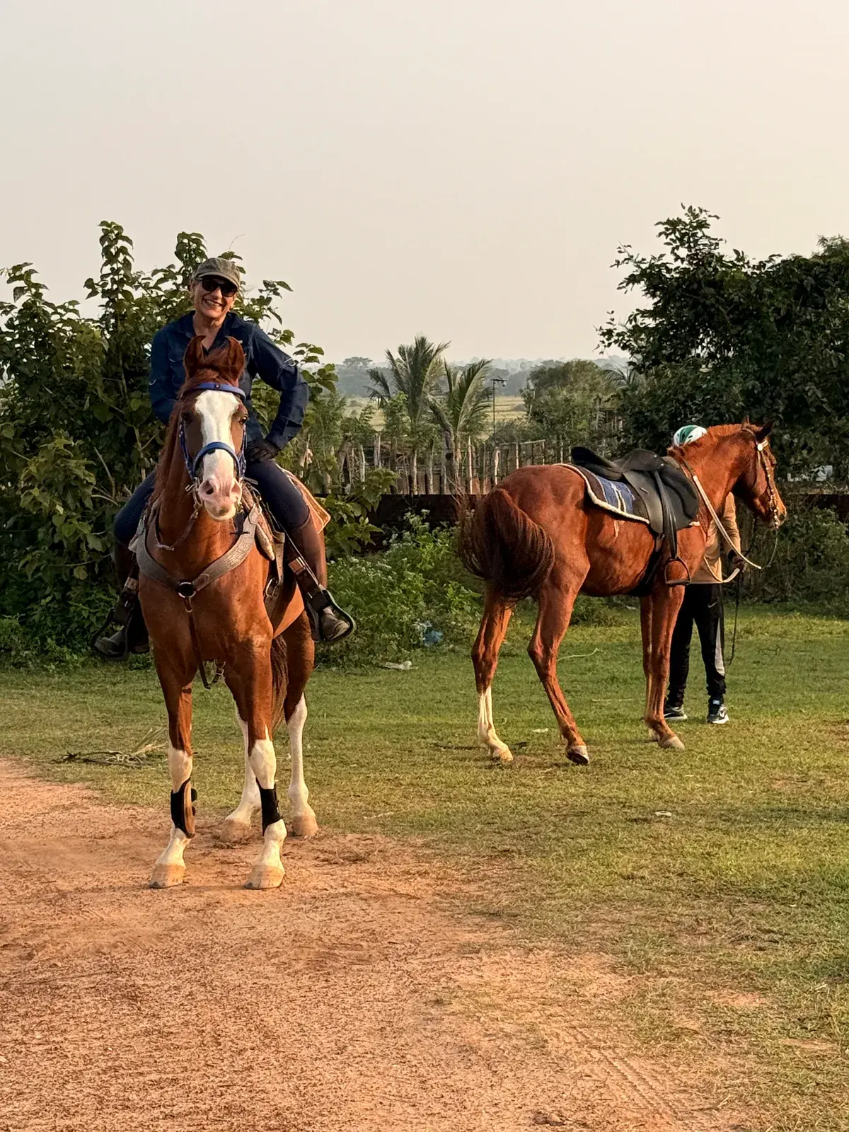 Young horse being calmly prepared in the stable area at Vonfidel Ranch in eastern Sri Lanka