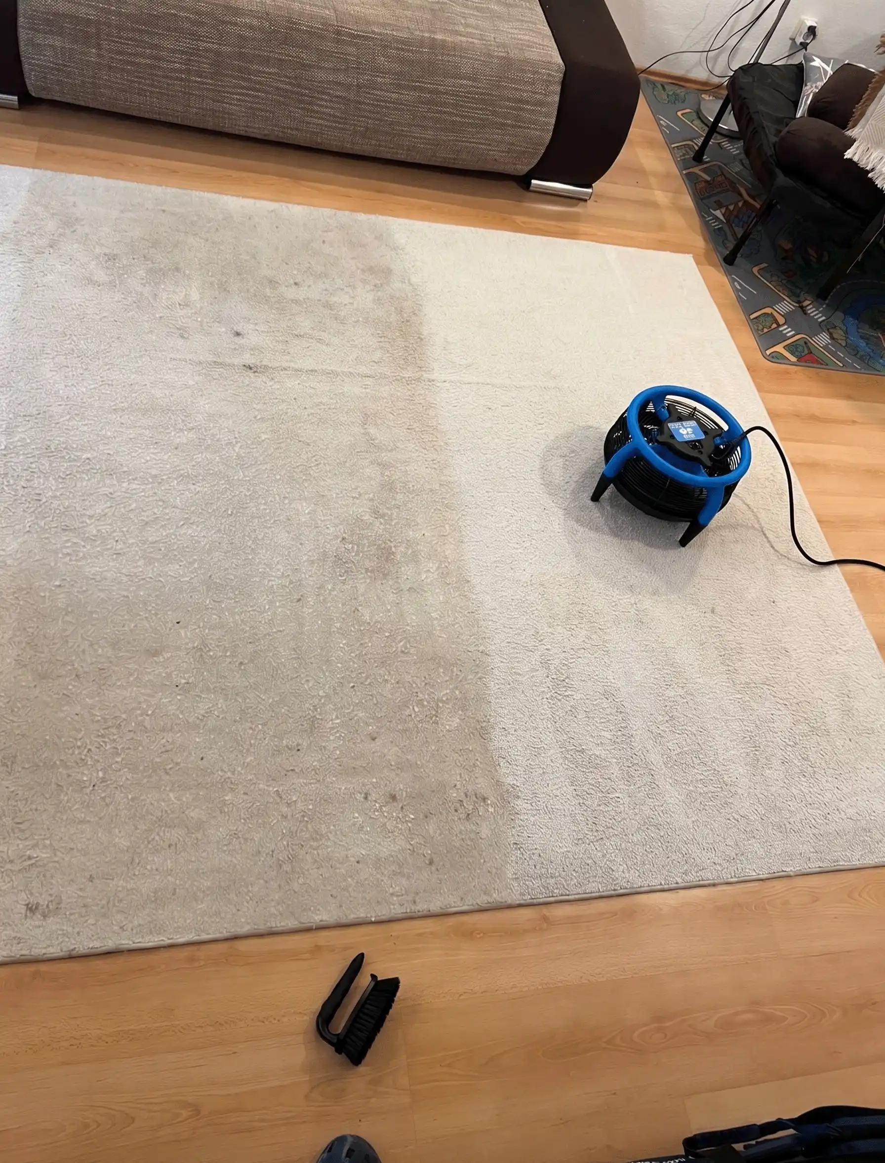 Teppichreinigung mit Spr&uuml;hextraktion im Wohnzimmer
