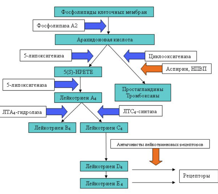 Ein Bild, das Text, Screenshot, Diagramm, Schrift enthält.
KI-generierte Inhalte können fehlerhaft sein.