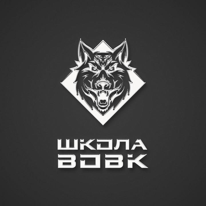 Chrome VOVK school logo on a dark grey background