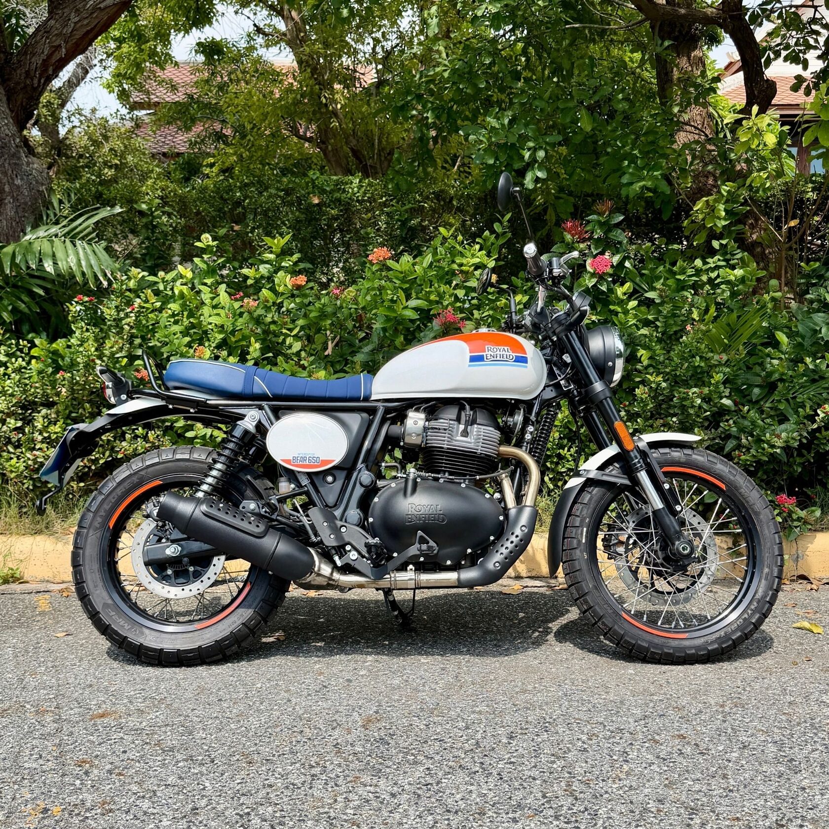 Royal Enfield Bear 650 — available for rent in Pattaya