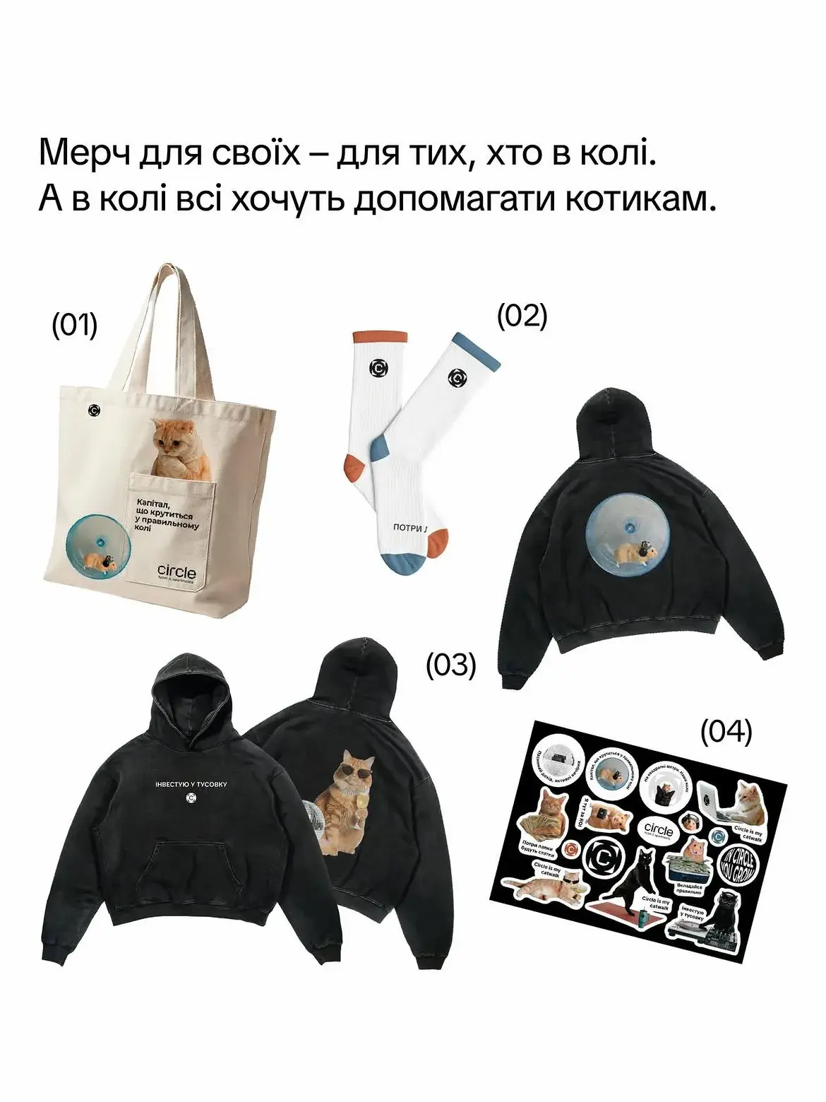 Circle Hotel помогает приюту Киевские котики