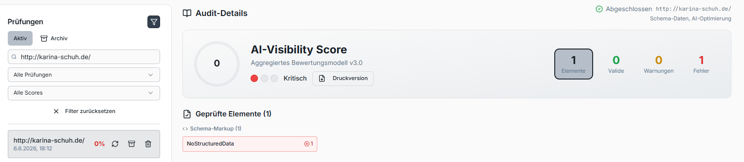 Audit vor der Optimierung