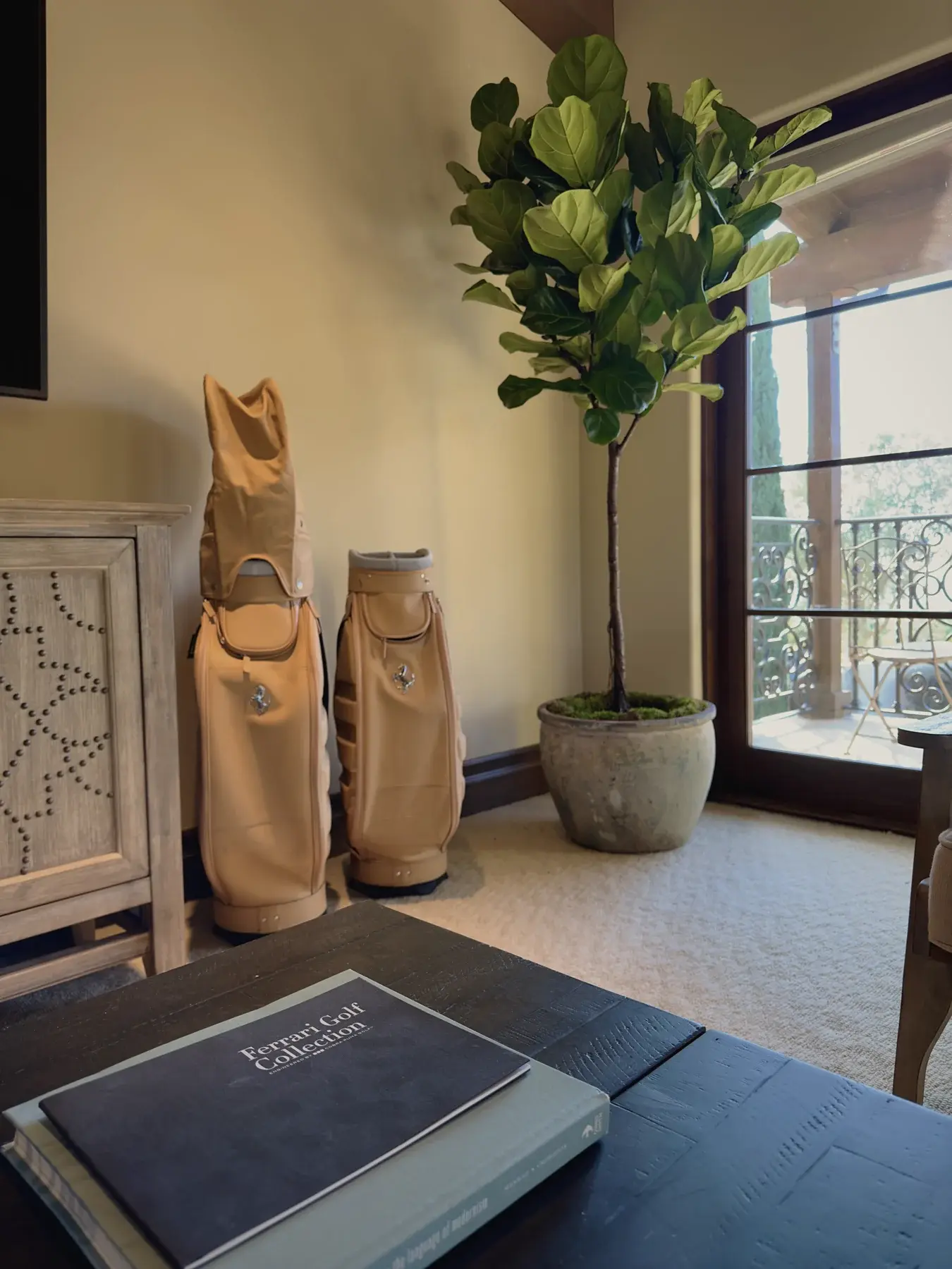 Fiddle-leaf fig in a room with golf bags