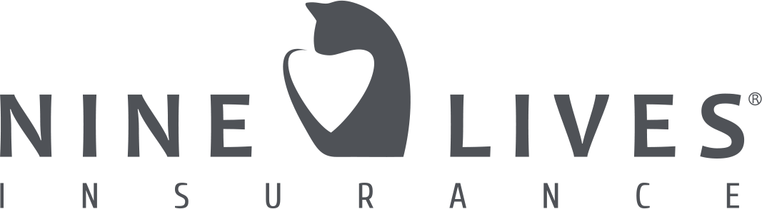 9lives agency