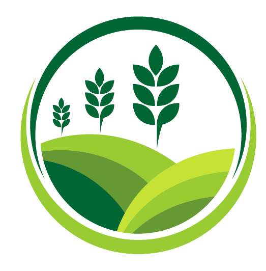 24/7 Emergency Service