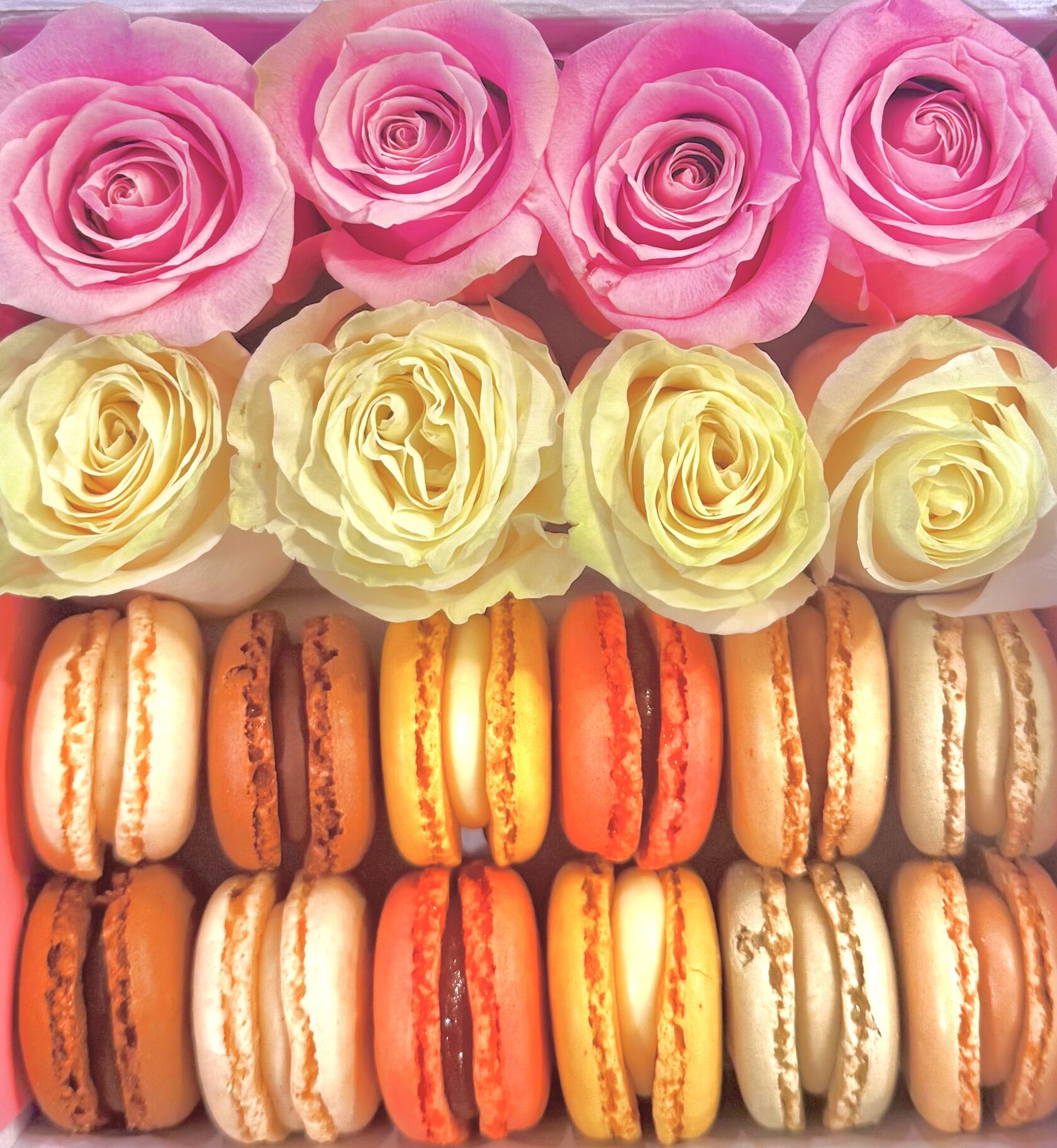 Rose + Macaron