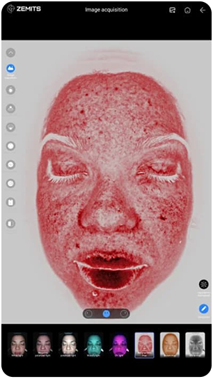 Red Pigment Map interface view