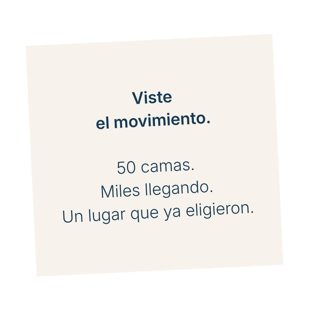 Viste el movimiento