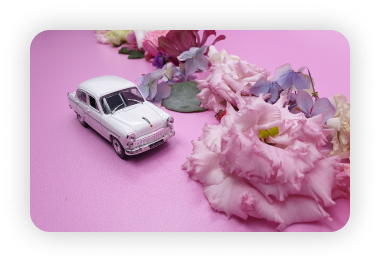 Stop Motion online training course