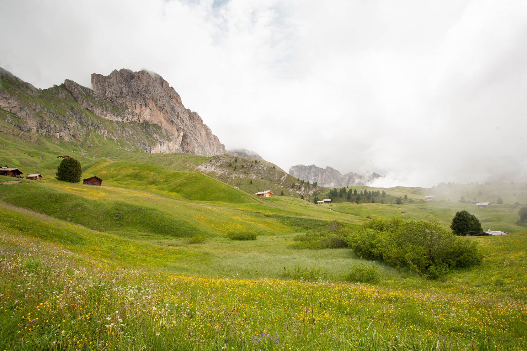 Сечеда пики