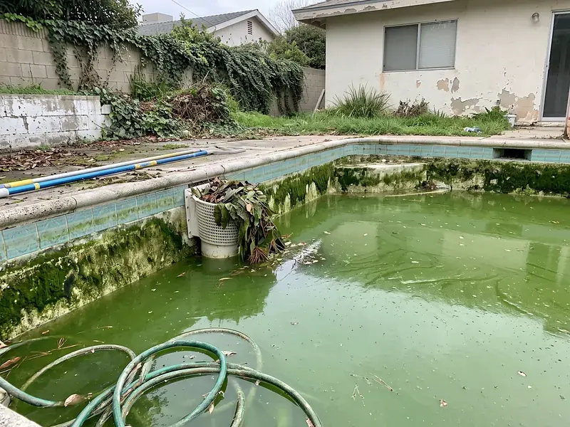 Before — green pool