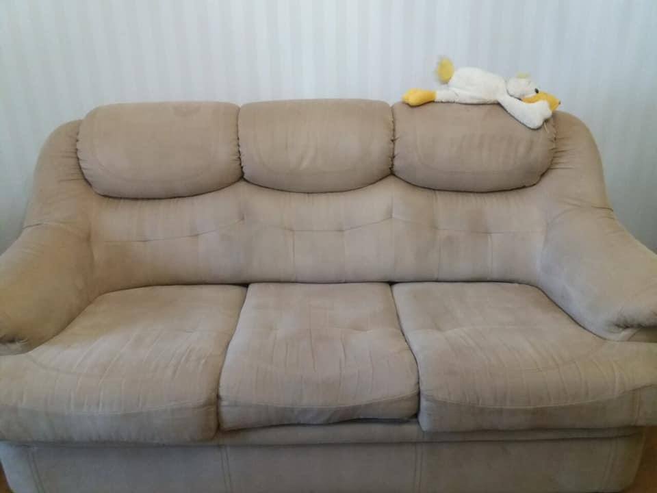 Schlafsofa – Komplettreinigung – nach der Polsterreinigung in Frankfurt