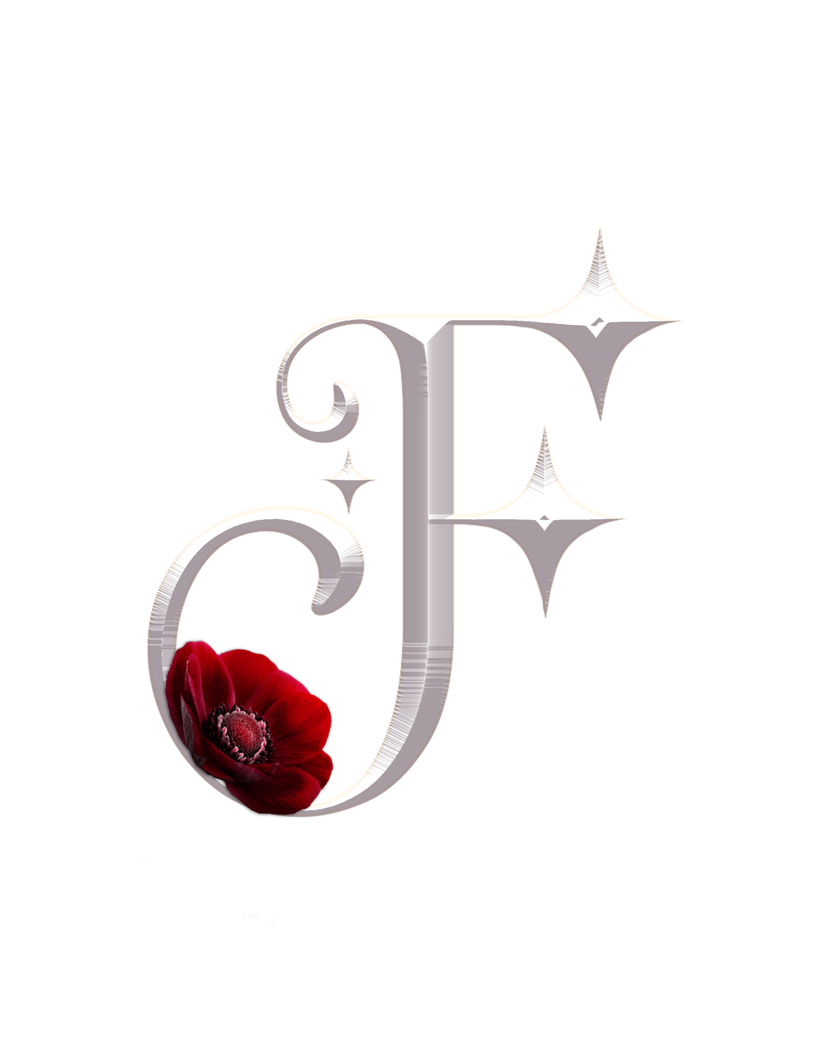 Fieriz Book Cover Design