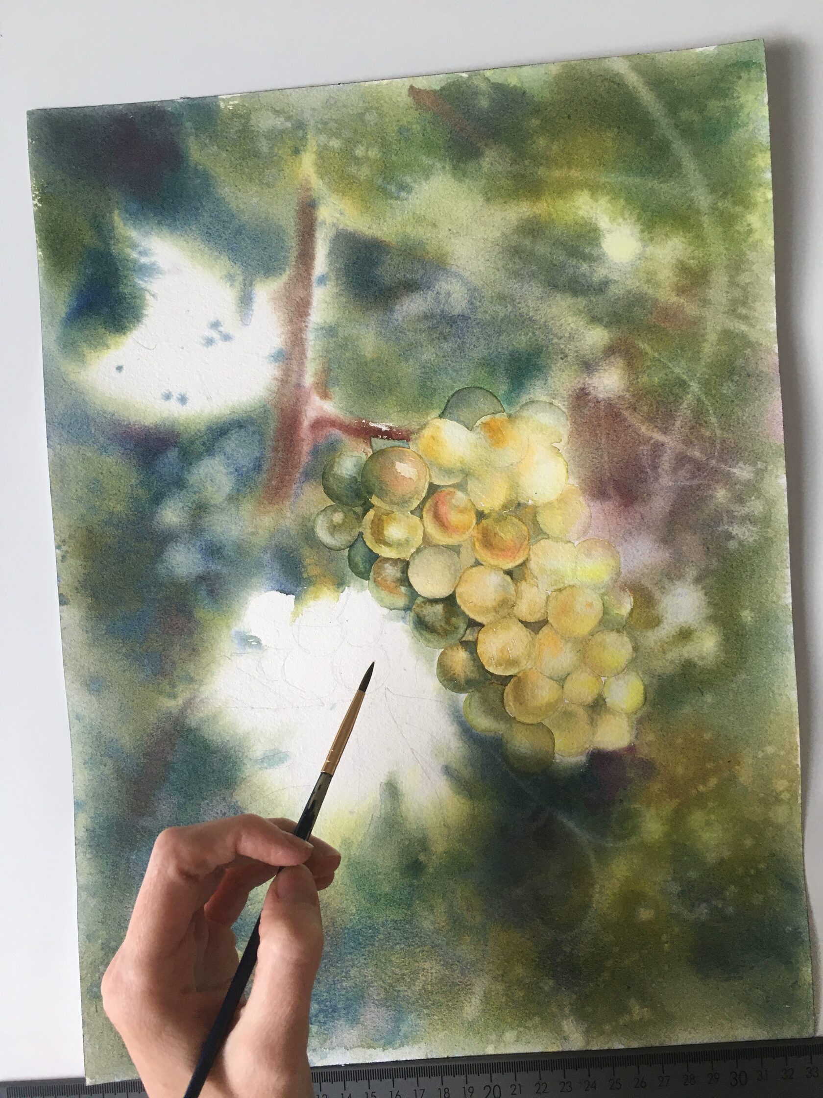 green grapes art painting