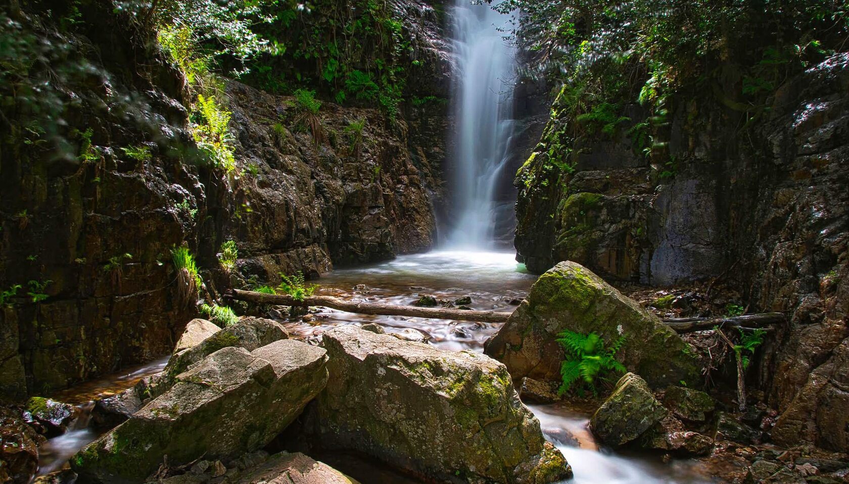 chorrera-waterfall-tour