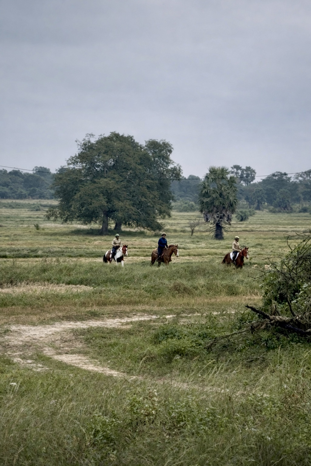 Three riders crossing open grassland during a guided horseback trail ride at Vonfidel Ranch.
