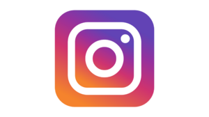 website icon