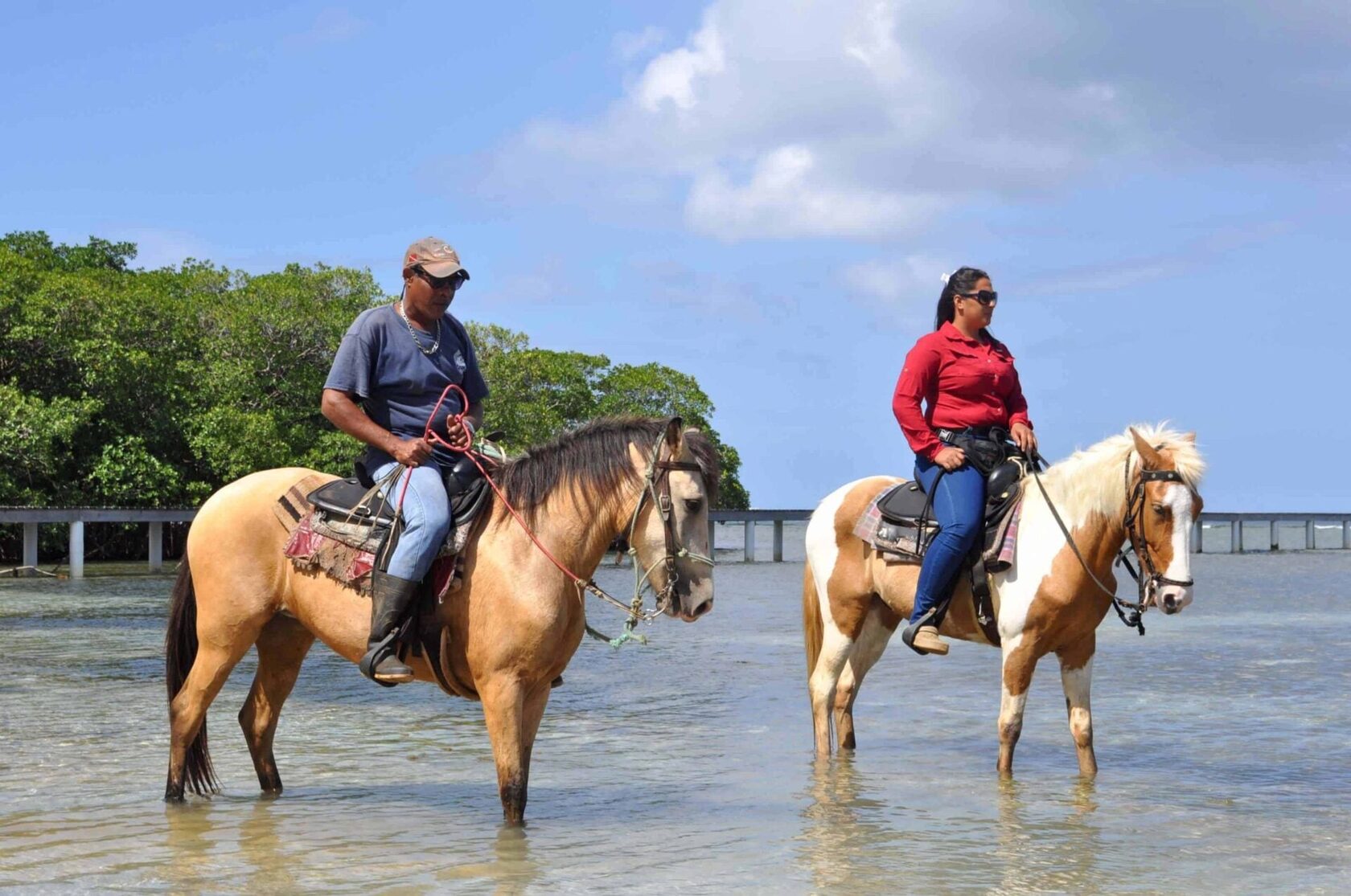 Tour Image