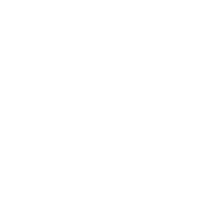 website icon