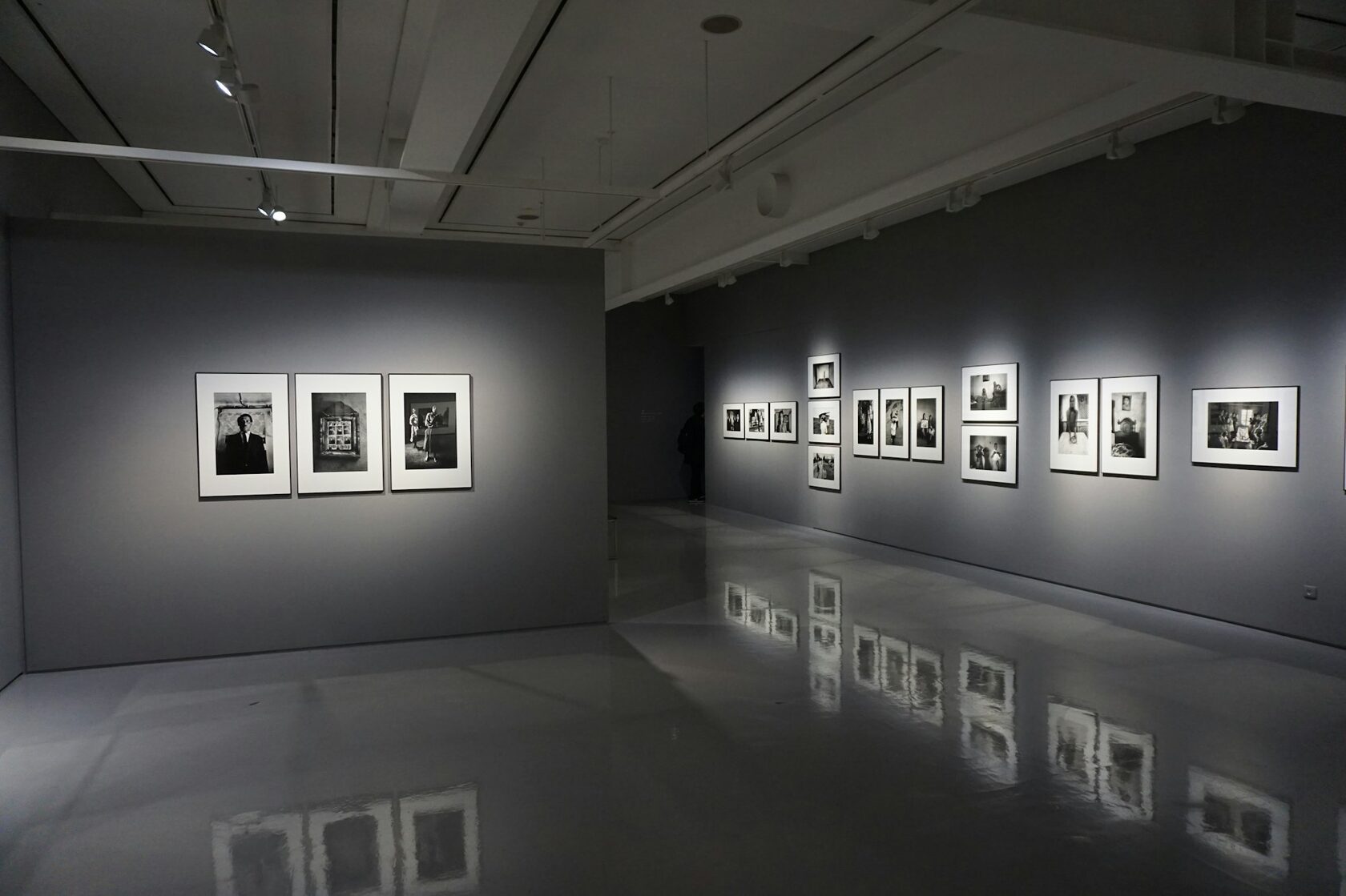 Curated photo gallery exhibition