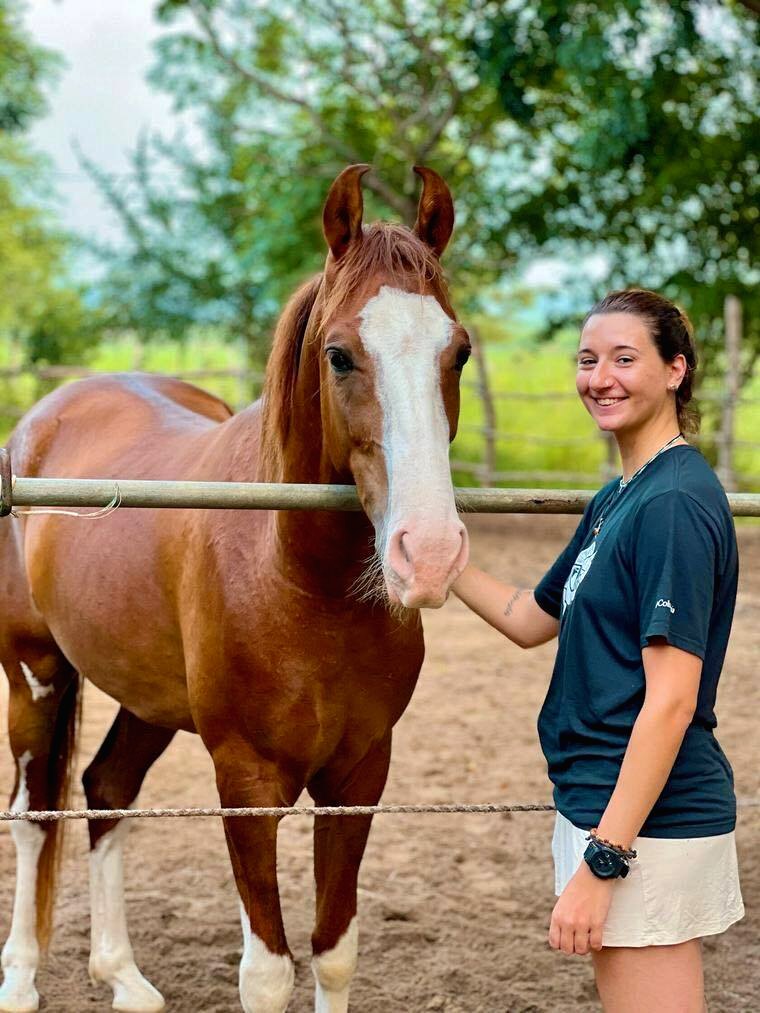 Calm chestnut horse with a white blaze standing beside a guest at Vonfidel Ranch in Sri Lanka