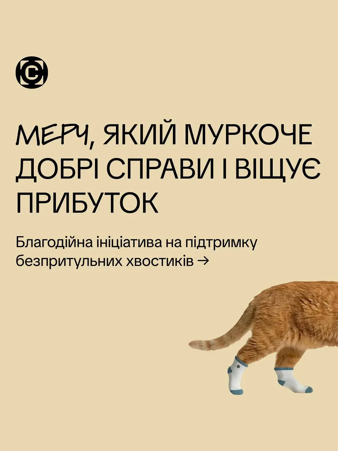 Circle Hotel передаёт 100% прибыли с мерча на поддержку приюта Киевские котики