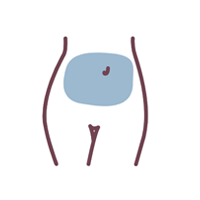 Tummy — laser hair removal area shown in blue