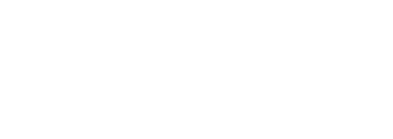 BISEB