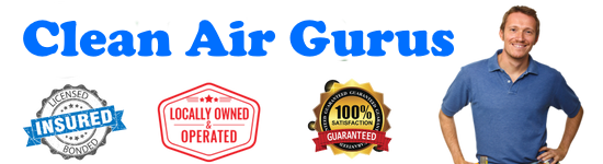  Clean Air Gurus | Indoor air quality specialists 