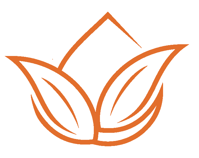 website icon