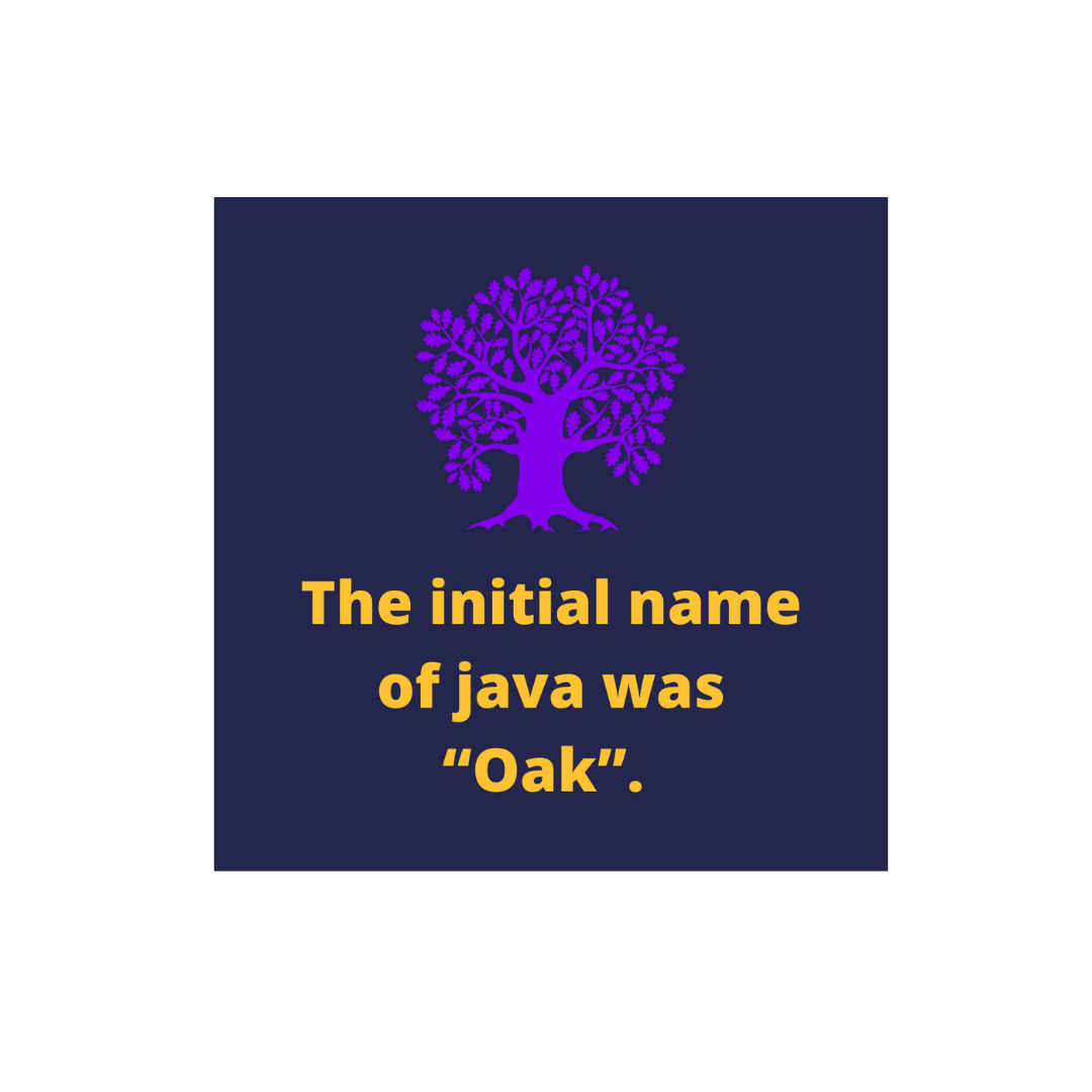 Why should I learn Java