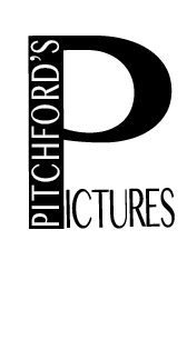 Pitchford's Pictures