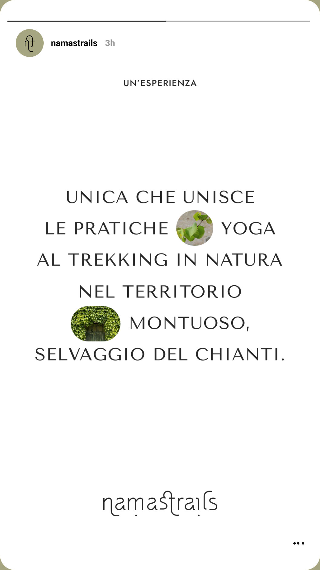 Coherent visual storytelling for Namastrails’ Instagram and digital presence.