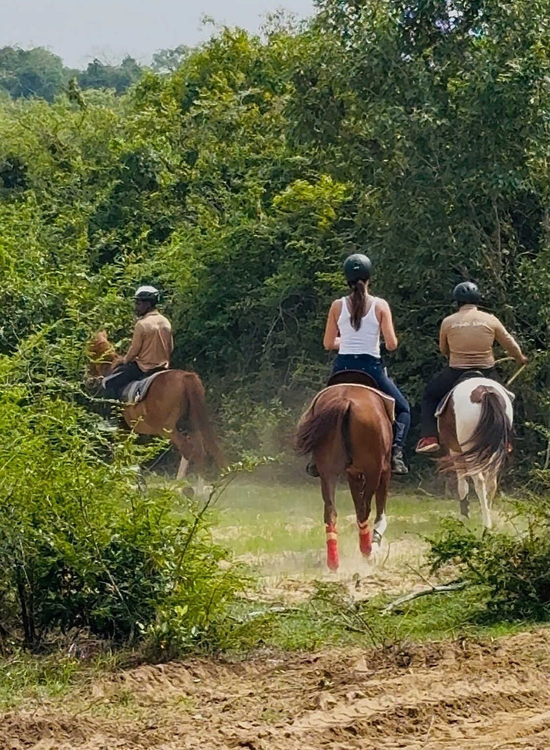 Three riders on a jungle track near the Ranch, dust rising from the hooves.
