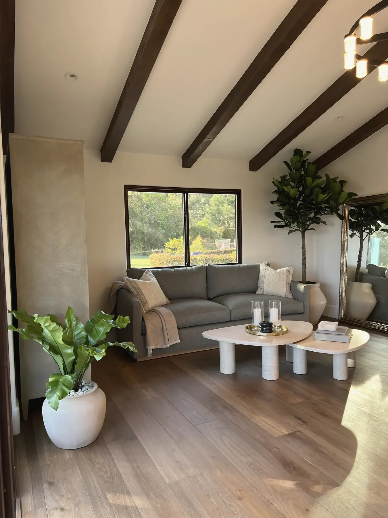 Living room with fiddle-leaf figs under wood beams