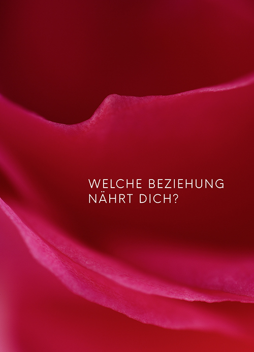 Q no A Postkarte mit roter Rose und der Frage „Welche Beziehung nährt dich?“