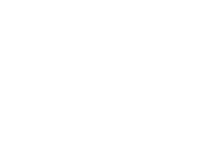 website icon
