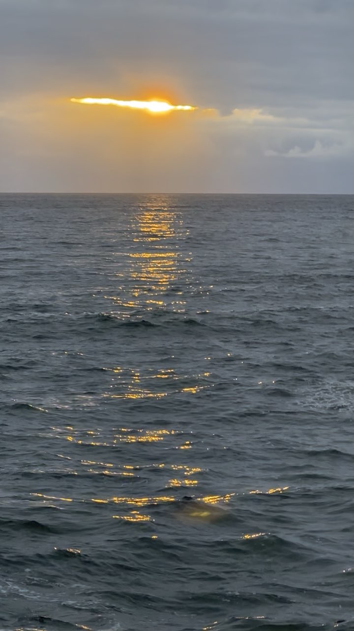 El sol dorado sobre el Pacífico al final de la tarde