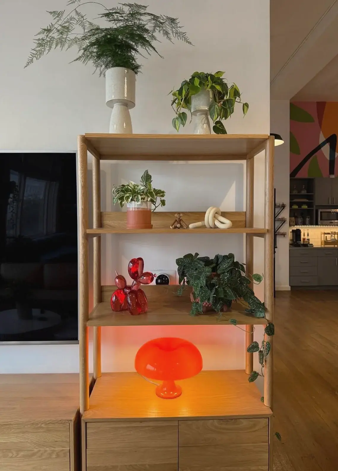 Open shelves styled with a fern, pothos and small plants in a living room