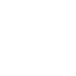 website icon