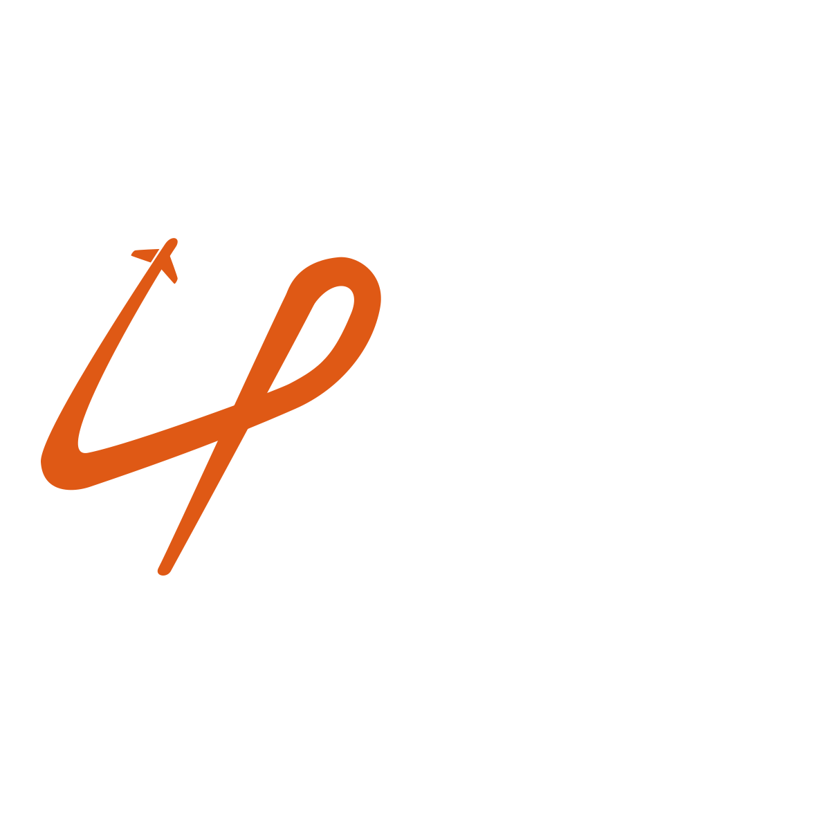 JUST FOR JOY