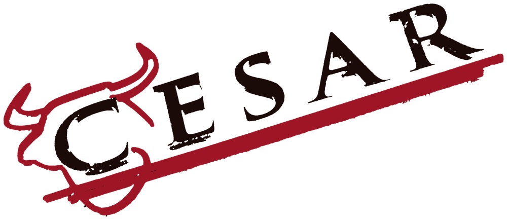 César Las Ventas